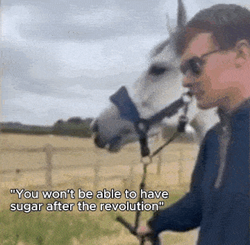 a man is standing next to a white horse in a field while talking to it .