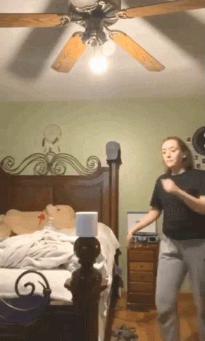 Toilet Roll GIF - Toilet Roll Challenge GIFs
