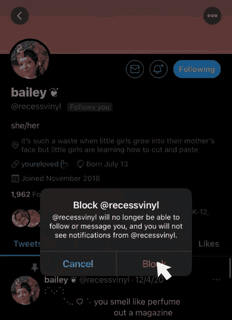 a screenshot of bailey 's twitter page shows a block message