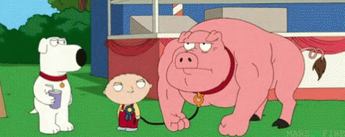 Oink Pig GIF - Oink Pig Family Guy GIFs