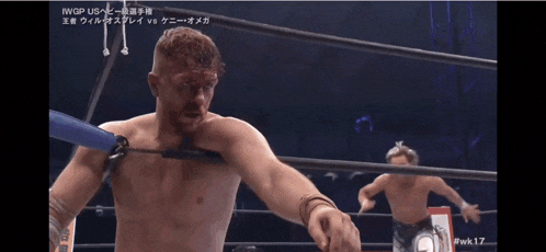 a man in a wrestling ring with the number 17 on the bottom right