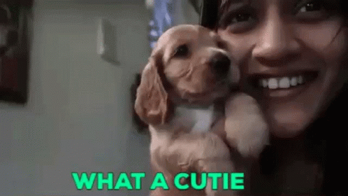 What A Cutie Larissa GIF - What A Cutie Larissa Cute Dog GIFs