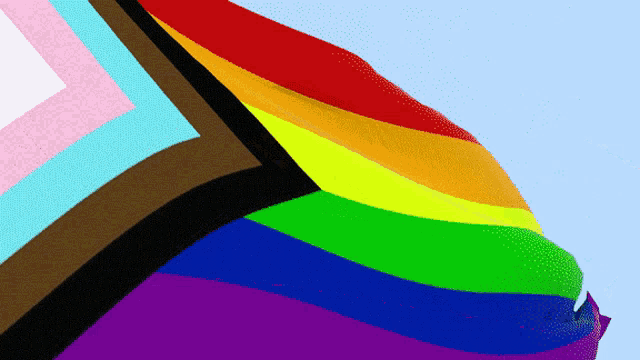 a rainbow flag with a black stripe on it