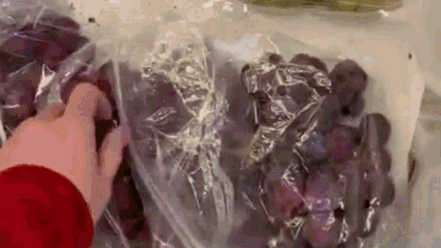 a person is holding a bag of grapes in their hands .