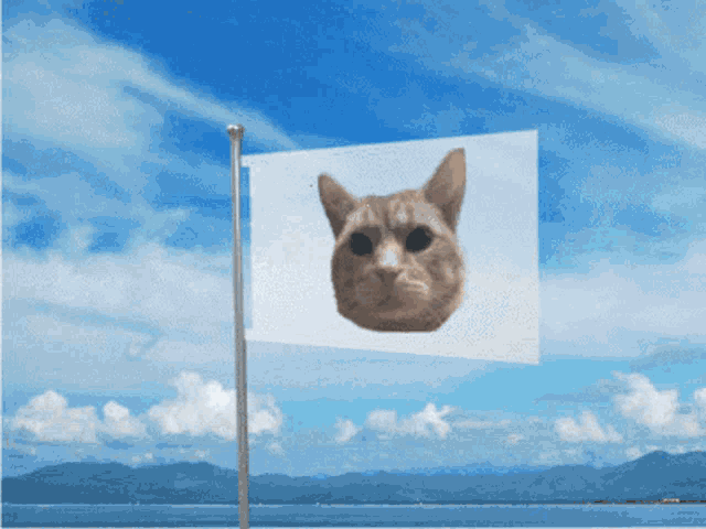 a flag with a cat 's head on it in front of a blue sky