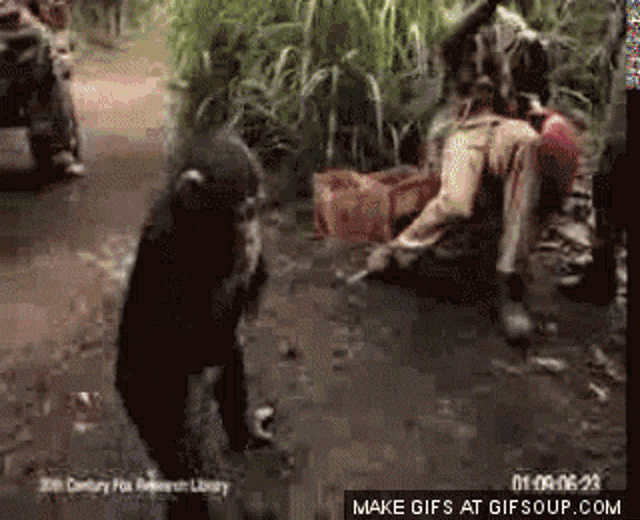 Planet Of The Apes Gun GIF - Planet Of The Apes Gun Ape GIFs
