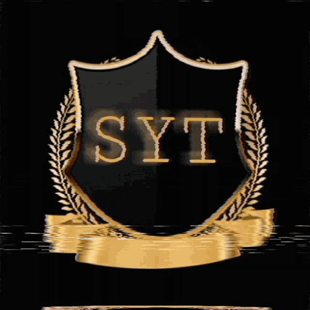 a shield with the word syt written on it