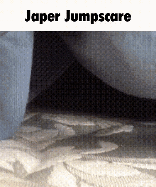 Japer Jumpscare GIF - Japer Jumpscare Cat GIFs