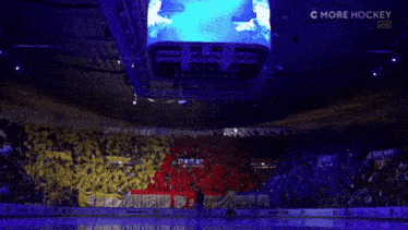 a crowd of people in a stadium with the words c more hockey on the bottom