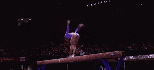 a woman in a purple leotard is standing on a balance beam in front of a crowd .
