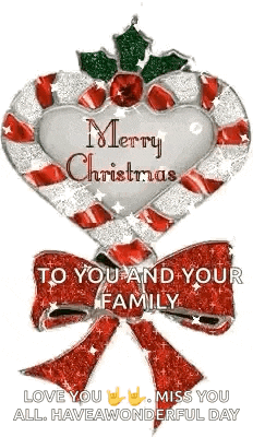 merry christmas to you and your family , love you , miss you all have a wonderful day .