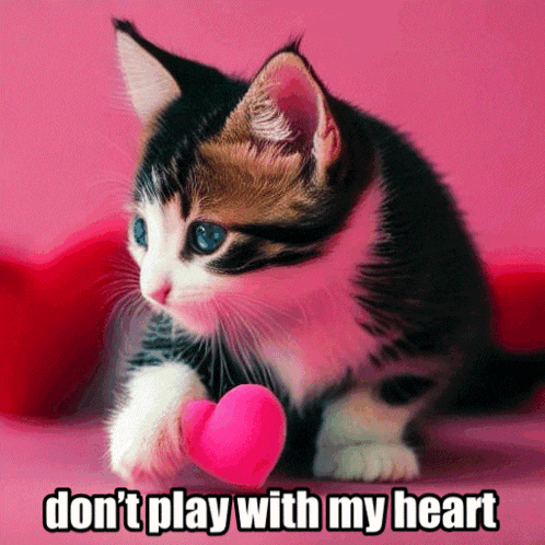 a kitten holding a pink heart with the words " do n't play with my heart " written below it