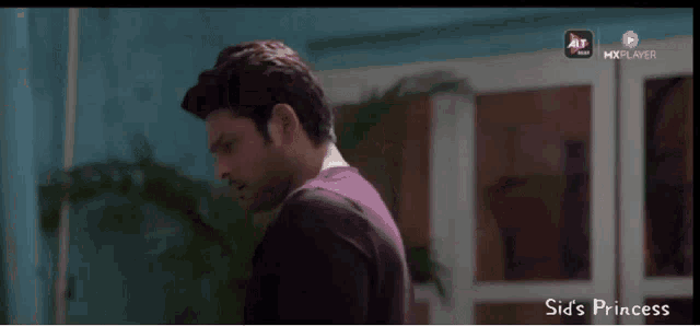 a screenshot of sid 's princess shows a man standing in front of a door
