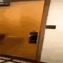 a close up of a door with a handle on it