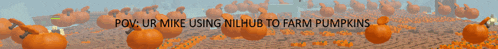a blurred image of pumpkins with the words " pow ur mike using ninja to farm pumpkins " on the bottom