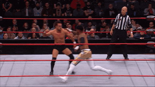 Ring Of Honor Shawn Dean GIF - Ring Of Honor Shawn Dean GIFs