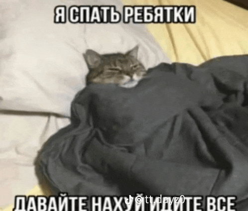 a cat is wrapped in a blanket on a bed .