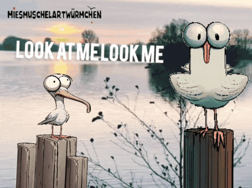 a cartoon of two seagulls standing next to each other with the words " look at me look me " above them