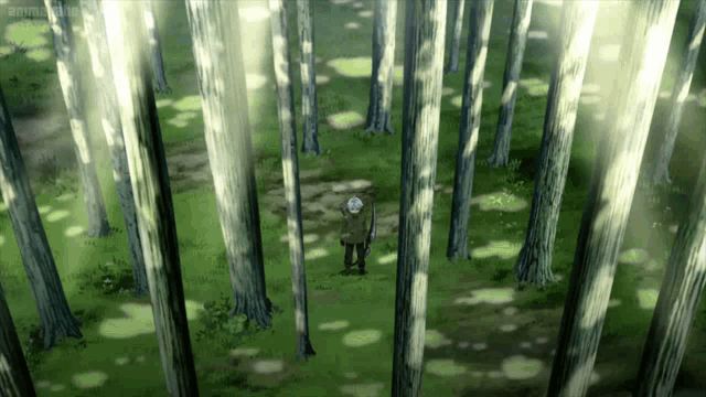 a man is standing in the middle of a forest with trees surrounding him
