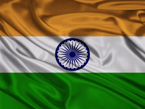 India GIF - India GIFs