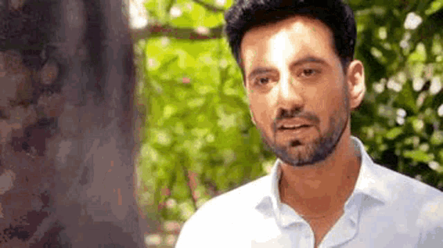 a man with a beard is standing in front of a tree and looking at the camera .