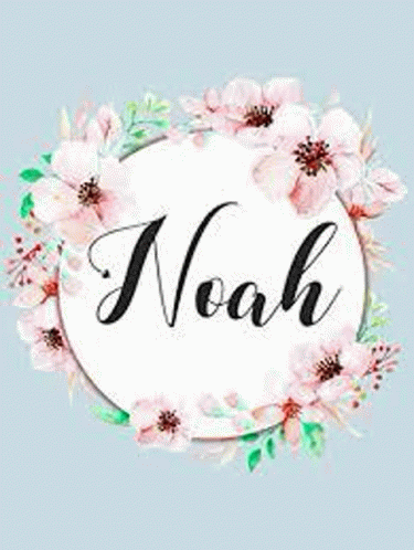 Noah GIF - Noah GIFs