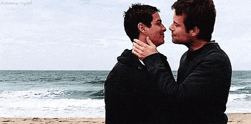 a couple of men are kissing on the beach .