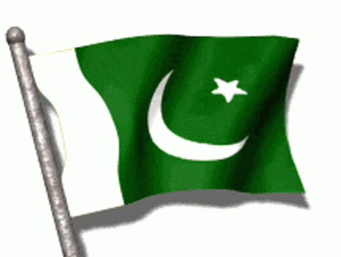 Pakistani Flag GIF - Pakistani Flag GIFs