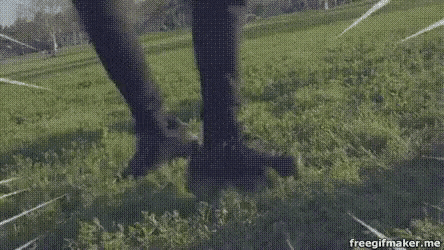 a person is running on a grassy field with a sprinkler in the background .