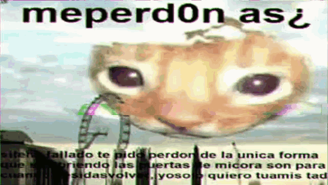 Gato Meperdonas GIF - Gato Meperdonas Meperd0nas GIFs