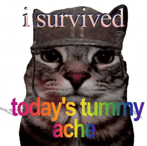 a cat wearing a helmet with the words i survived today 's tummy ache