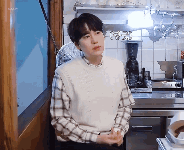 a man wearing a plaid shirt and a white vest stands in front of a kitchen counter