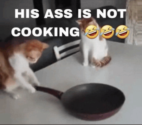 Cat Let Him Cook GIF - Cat Let Him Cook His Ass Is Not Cooking GIFs