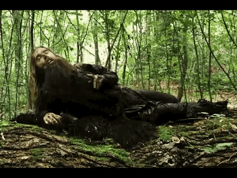 a man with long hair and a beard is laying on a tree trunk in the woods