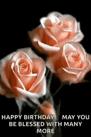 Roses Blooming Roses GIF - Roses Blooming Roses Flowers GIFs