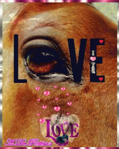 Horse Love GIF - Horse Love Hearts GIFs
