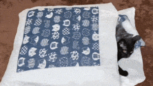 a black cat laying under a blue and white blanket
