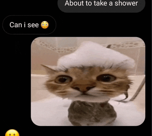 a cat is taking a shower with foam on its head