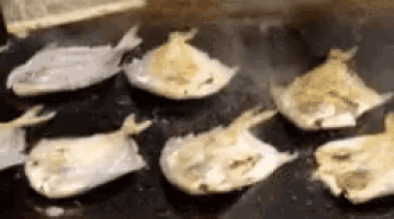 a bunch of fish are cooking on a stove .
