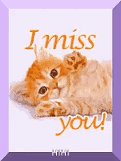 a kitten is laying down on a purple background with the words `` i miss you '' .