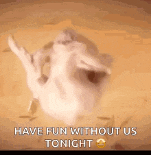a cat is laying on its back with its mouth open and the words `` have fun without us tonight '' written below it .