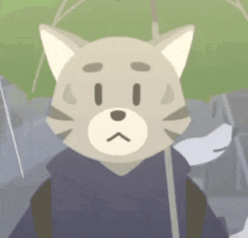 a cat is holding an umbrella and wearing a hoodie .