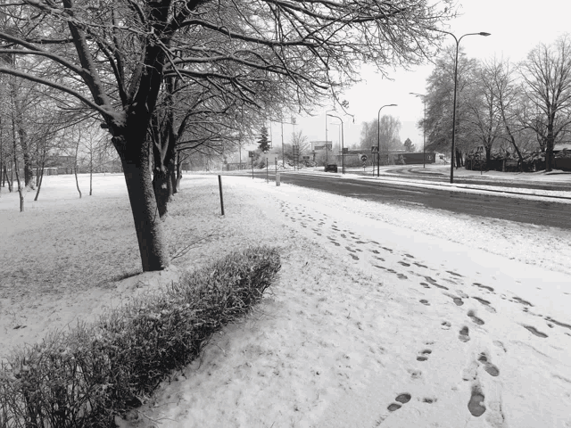 a black and white photo of a snowy street