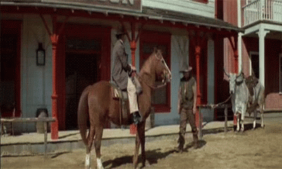 Horse Abuse GIF - Horse Abuse Punch GIFs