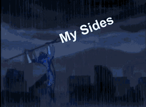 Seloro Sides GIF - Seloro Sides My Sides GIFs