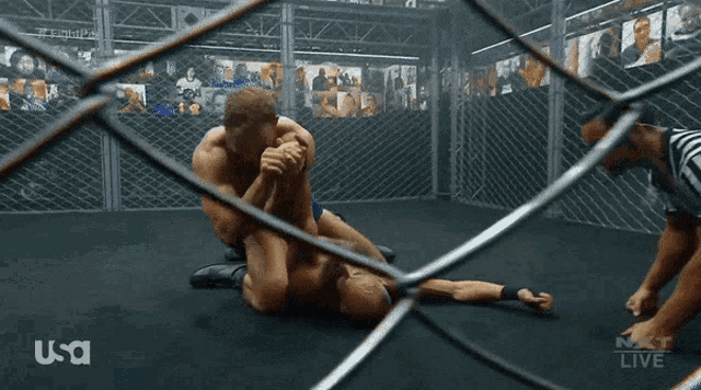 two men are wrestling in a cage with the word usa on the bottom right