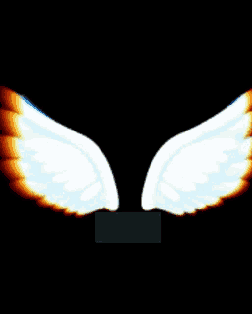 a pair of white angel wings are glowing in the dark