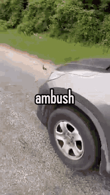 Ambush GIF - Ambush GIFs