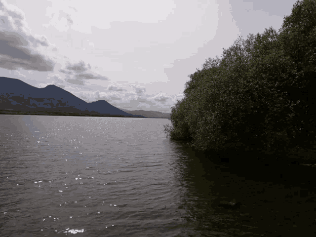 a lake with mountains in the background and trees along the shore