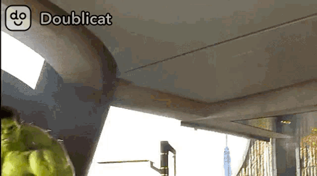a screenshot of a video that says doublecat on it